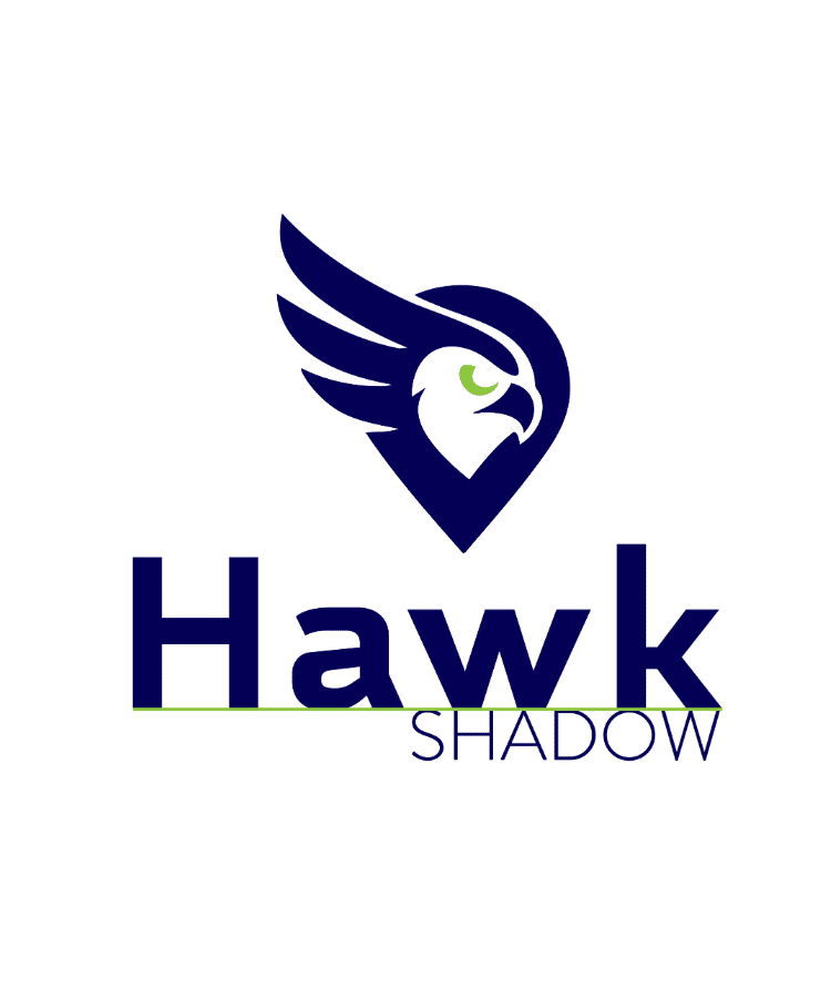 Hawk Shadow